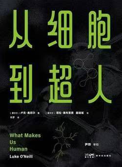 从细胞到超人